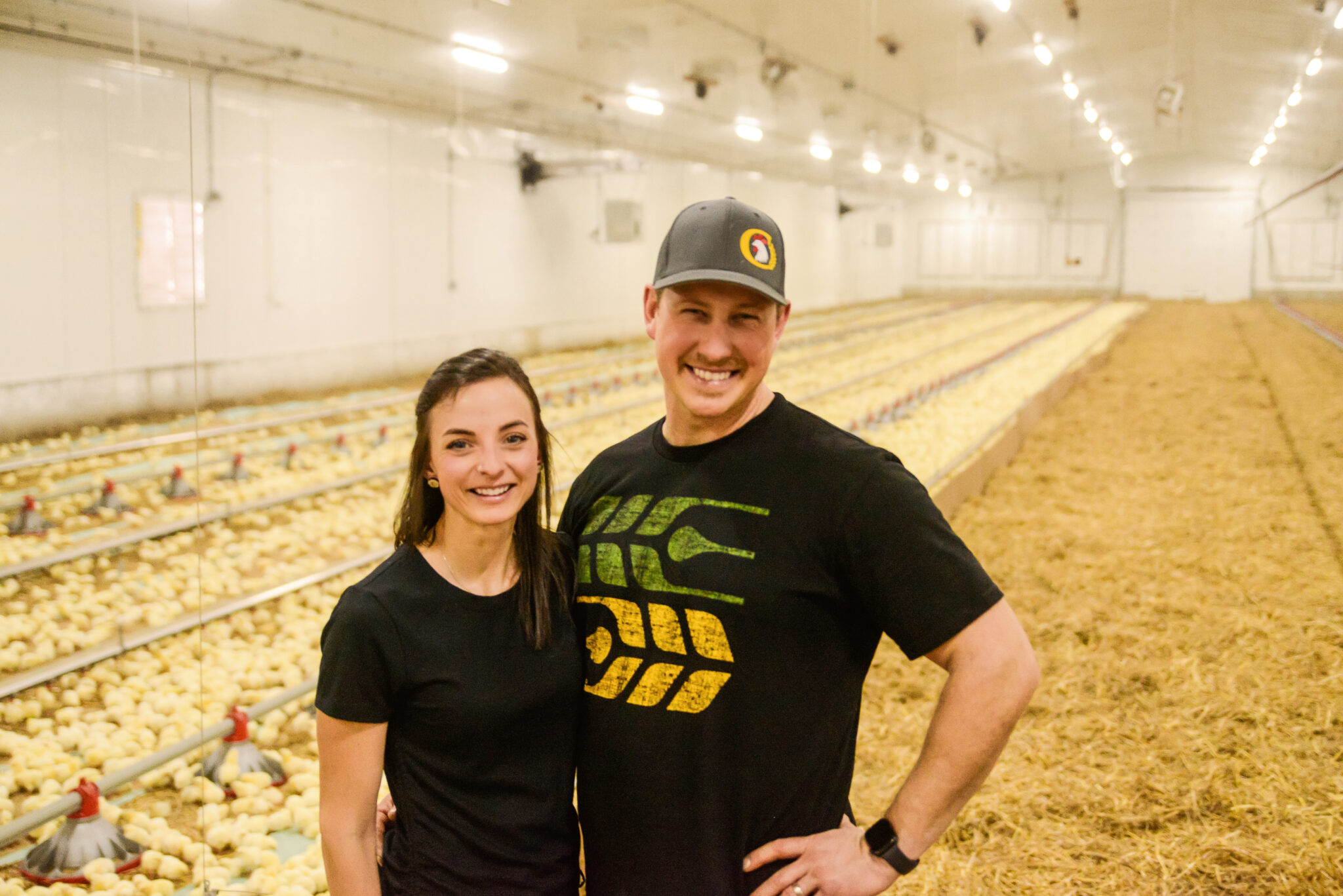 Become a Producer - Chicken Farmers