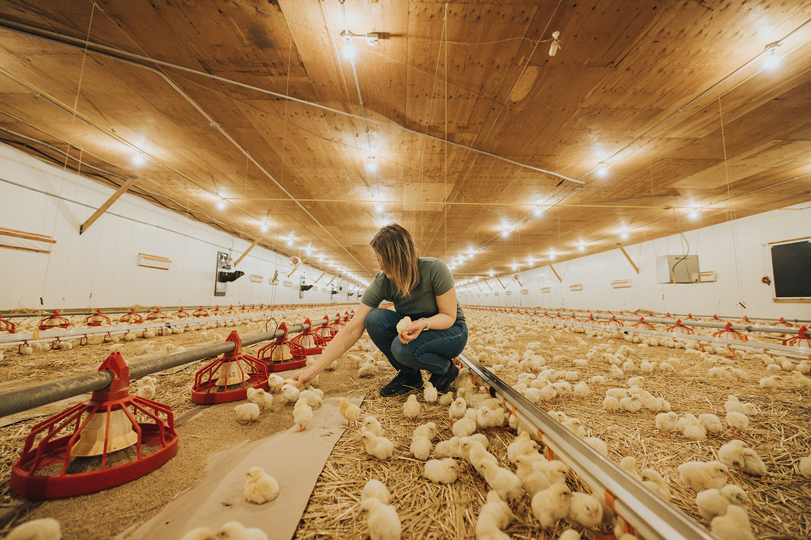 Accordion Image for Mobile